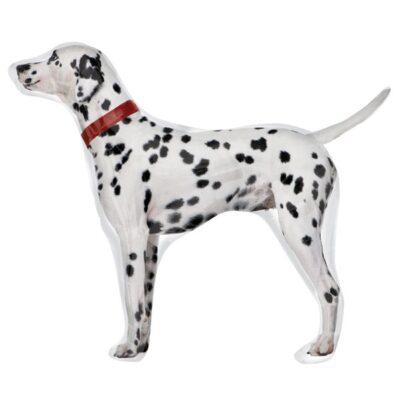 vappupallo dalmatialainen koira