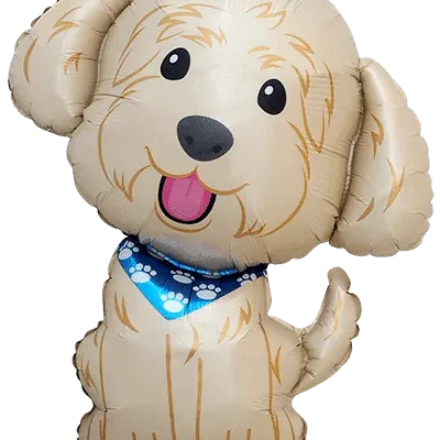 cobberdog hauva koira vappupallo eläin ilmapallo